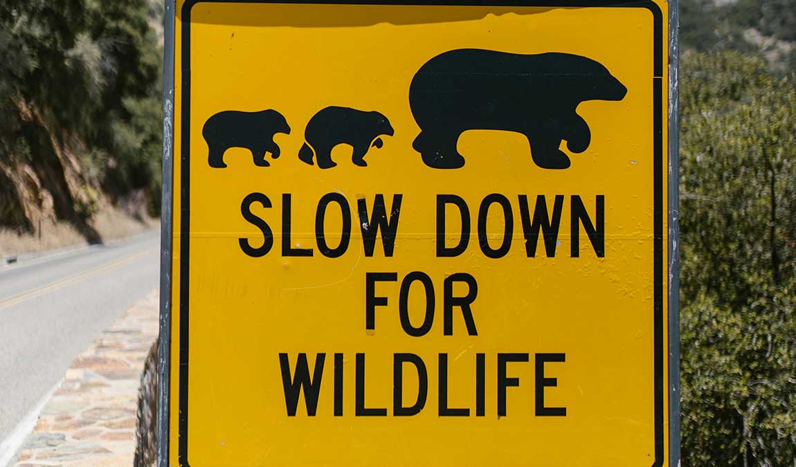 rallentamento-economico-indicatorimacroeconomici